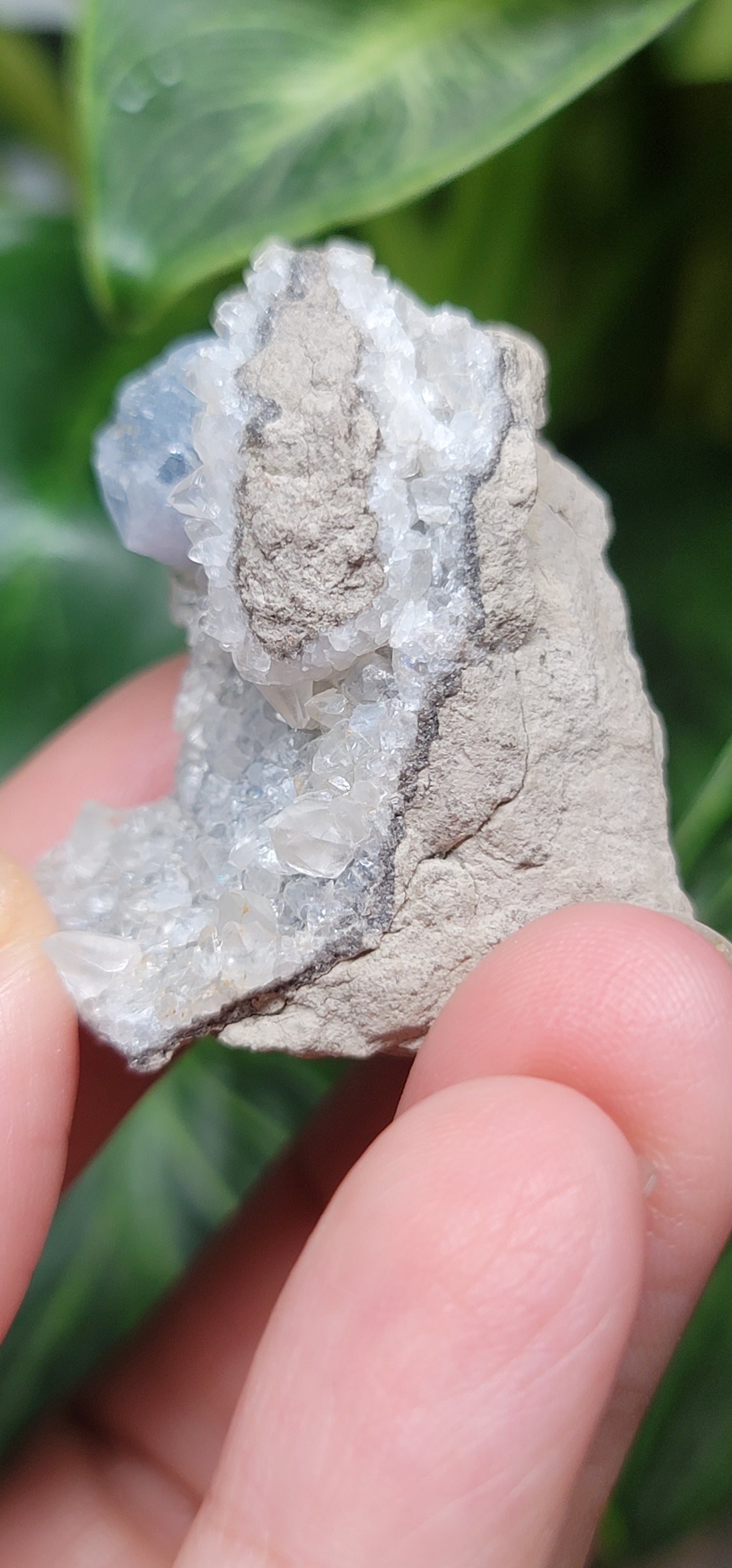 Celestite & Quartz
