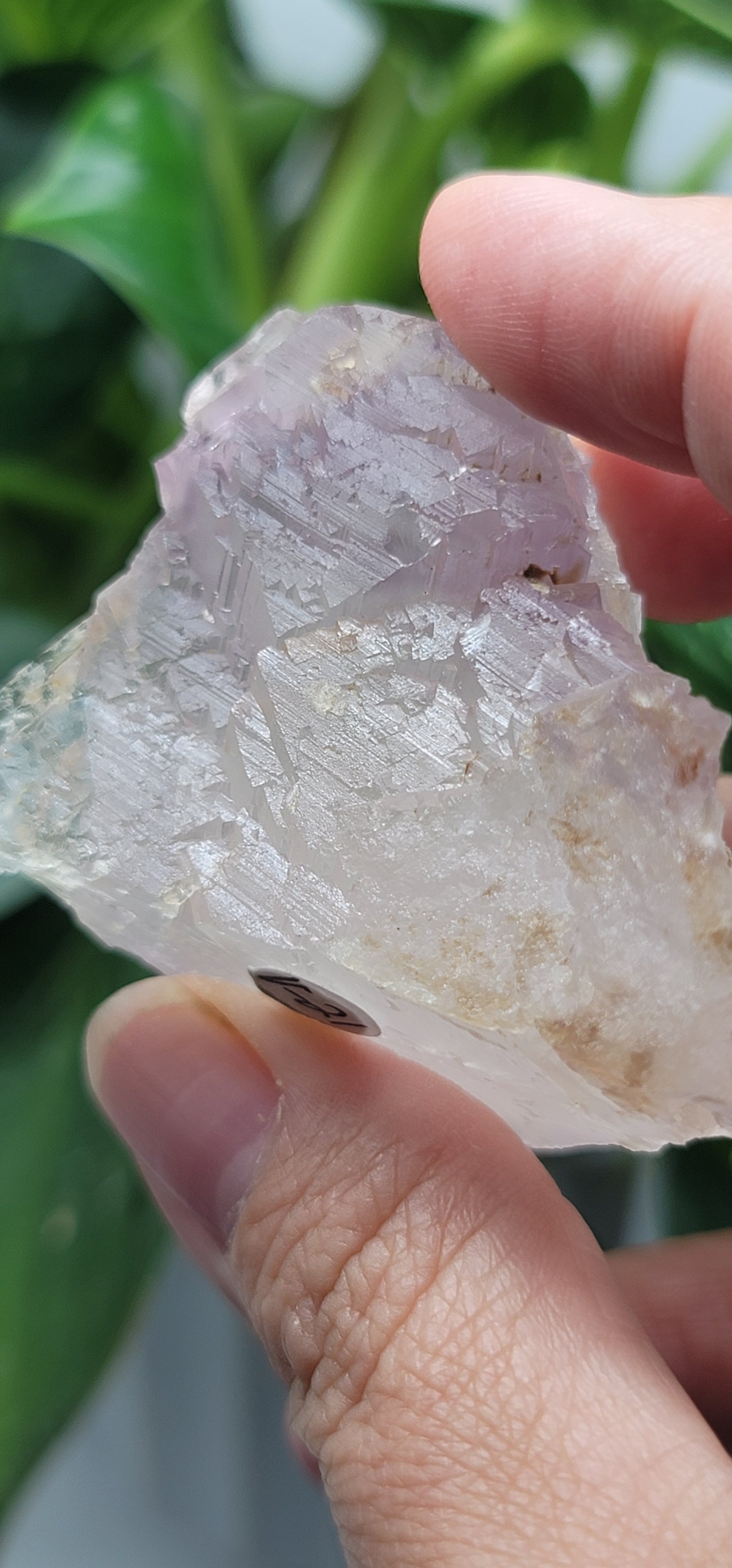 Fluorite Cave-in-Rock