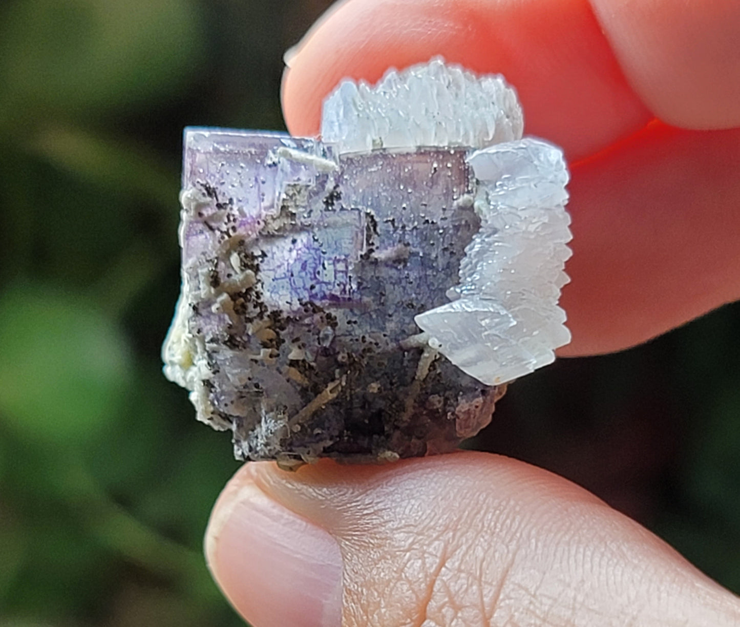Fluorite & Calcite