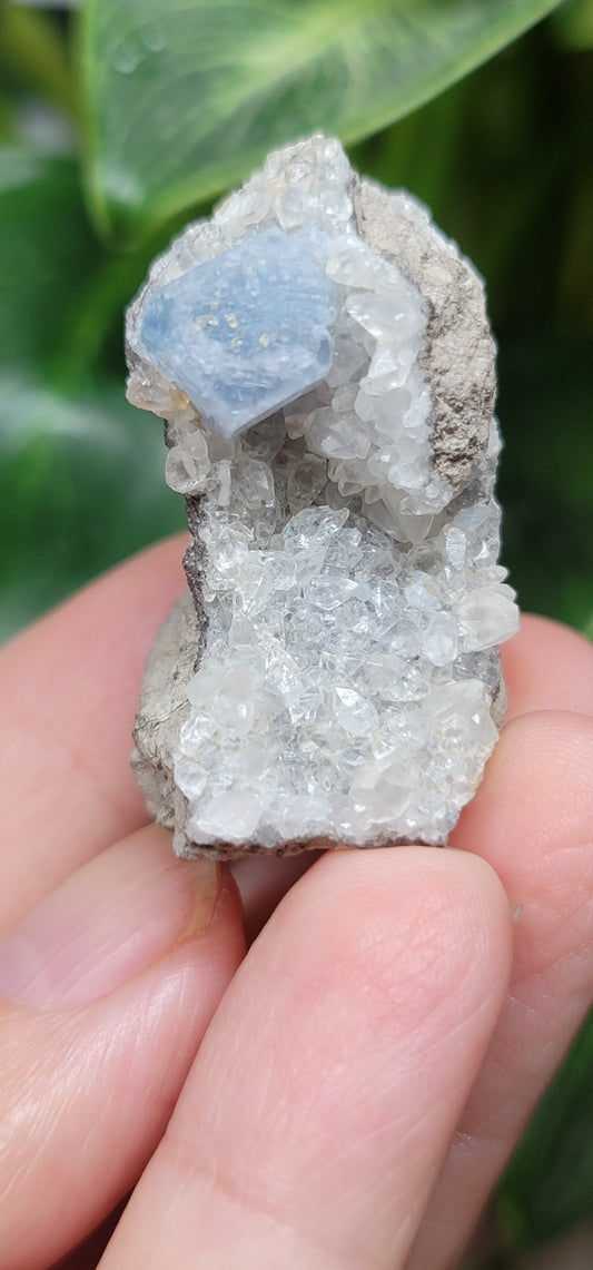 Celestite & Quartz