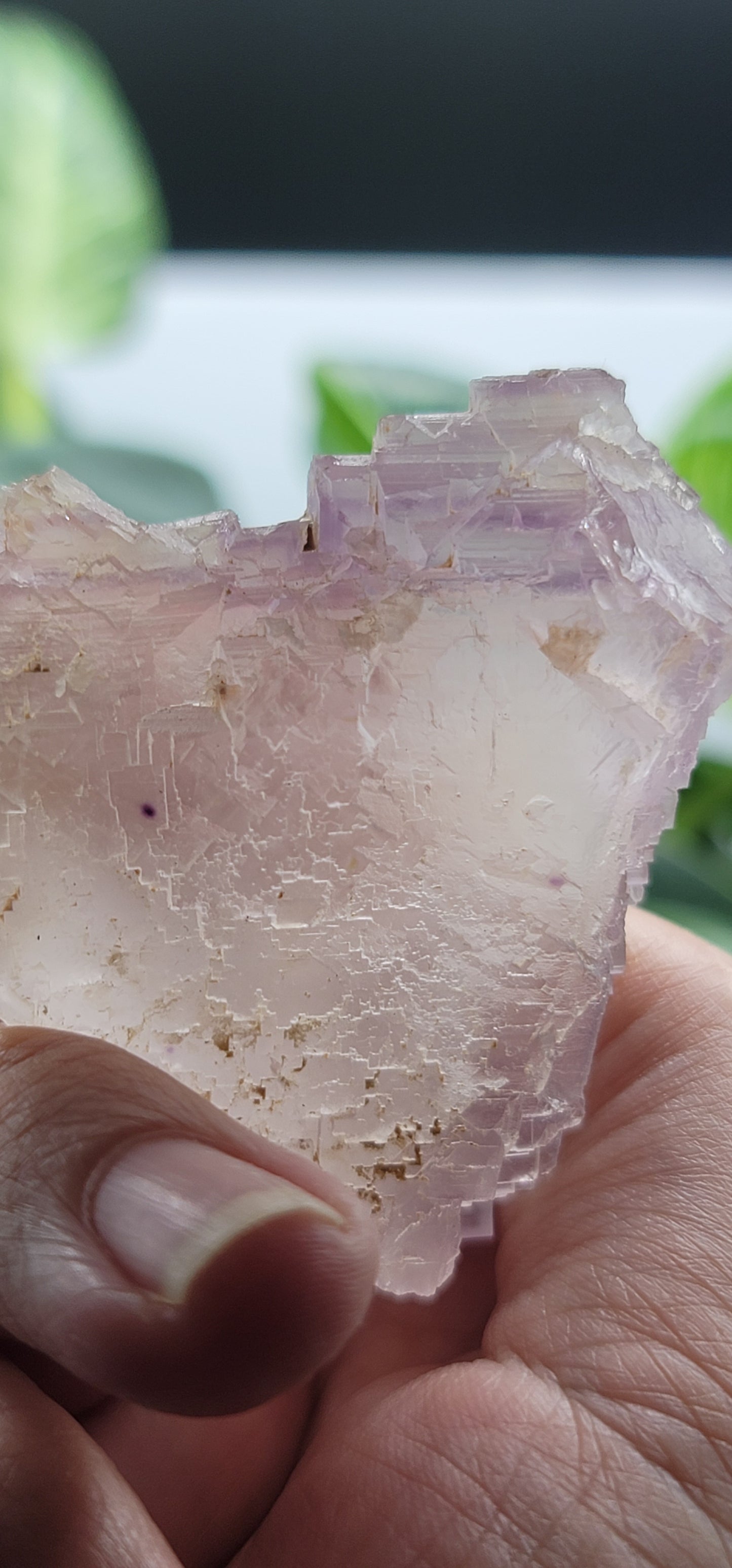 Fluorite Cave-in-Rock