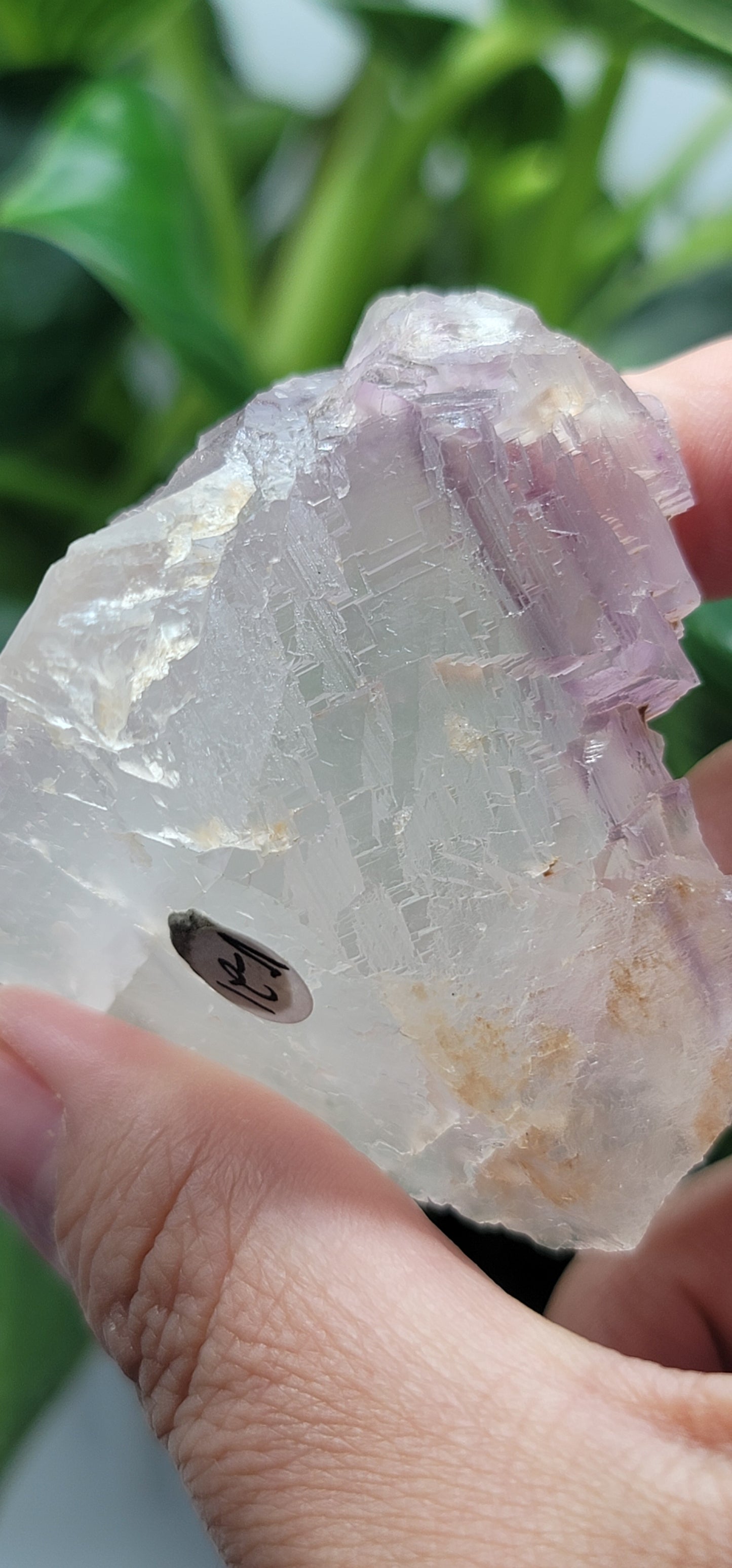 Fluorite Cave-in-Rock