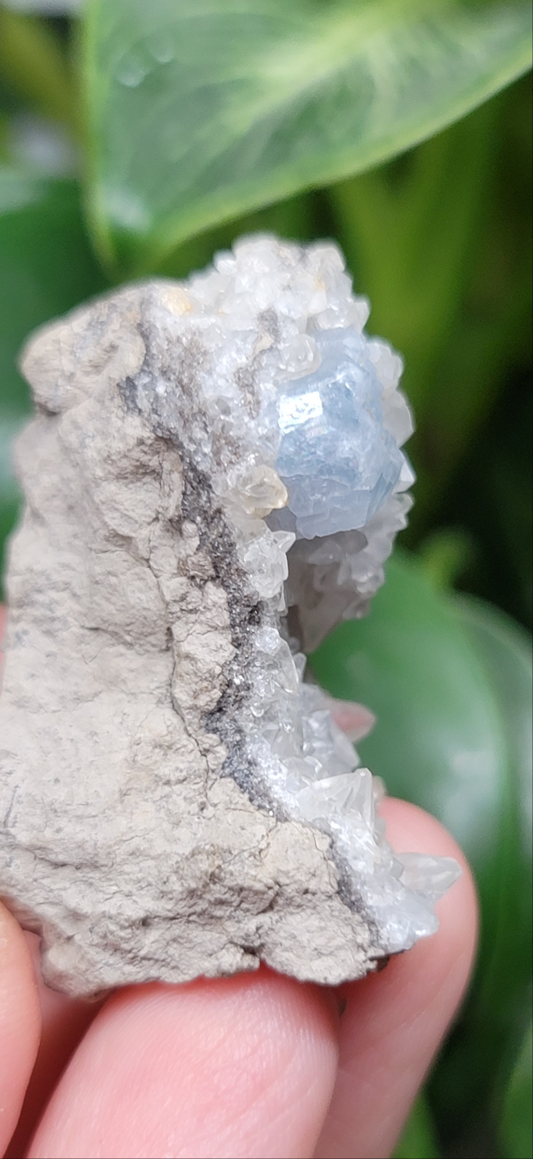 Celestite & Quartz